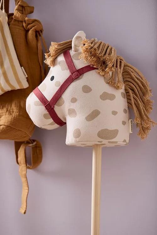 Stokpaardje Dotty - Aiden