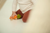 Auto - Cathy the Carrot