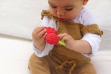 Bijtspeeltje - Valery the Raspberry