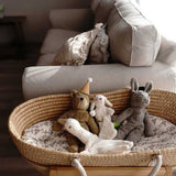 Knuffel floppy ezel - Small