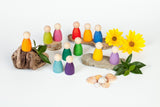 Nins (12 stuks) - Grapat